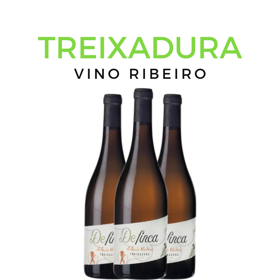 Los mejores vinos gallegos blancos ribeiro con uva treixadura