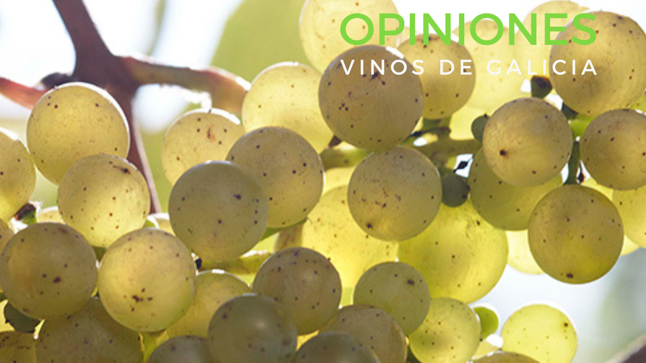Reseñas y Opiniones de Licores y Vinos de Galicia
