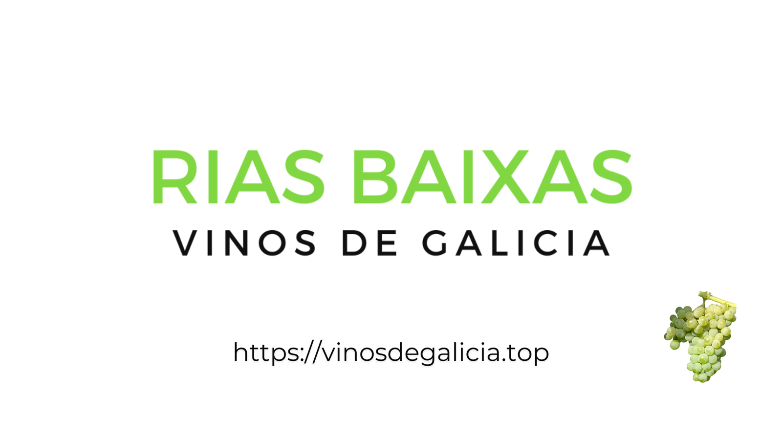 Rías Baixas - Vinos de Galicia