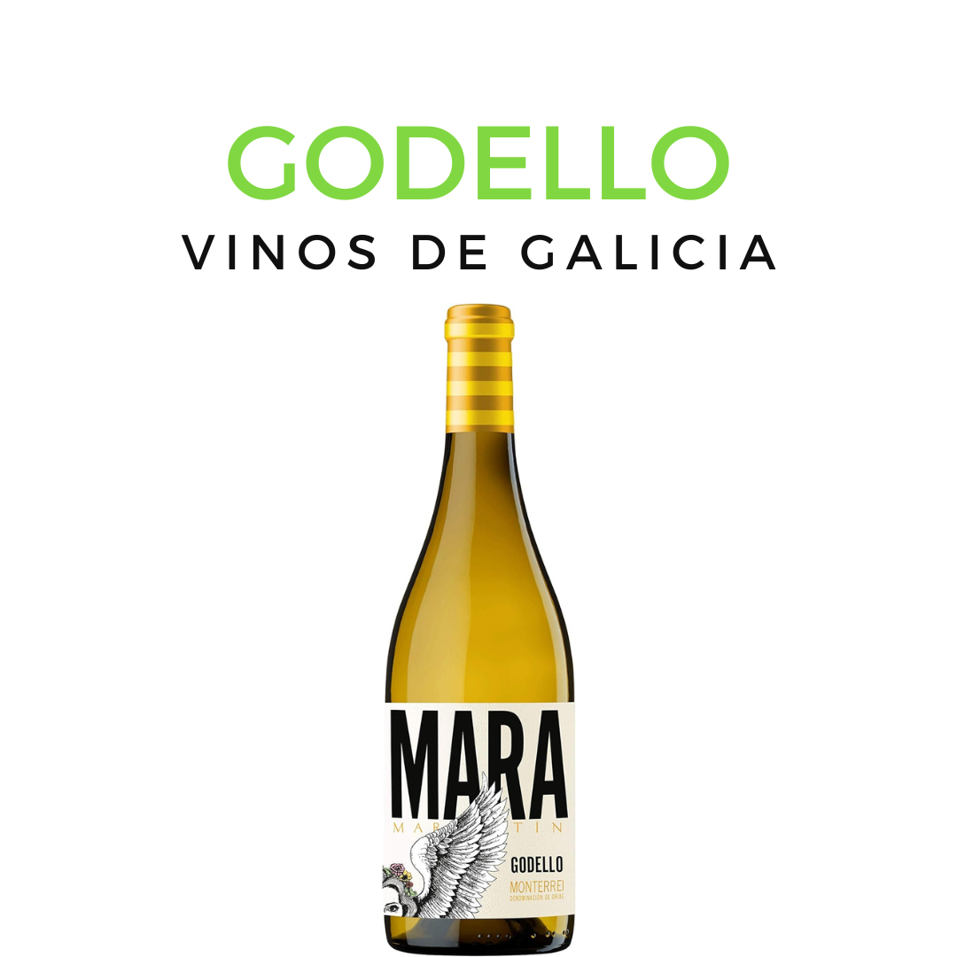 Vinos de Galicia con Uva Godello